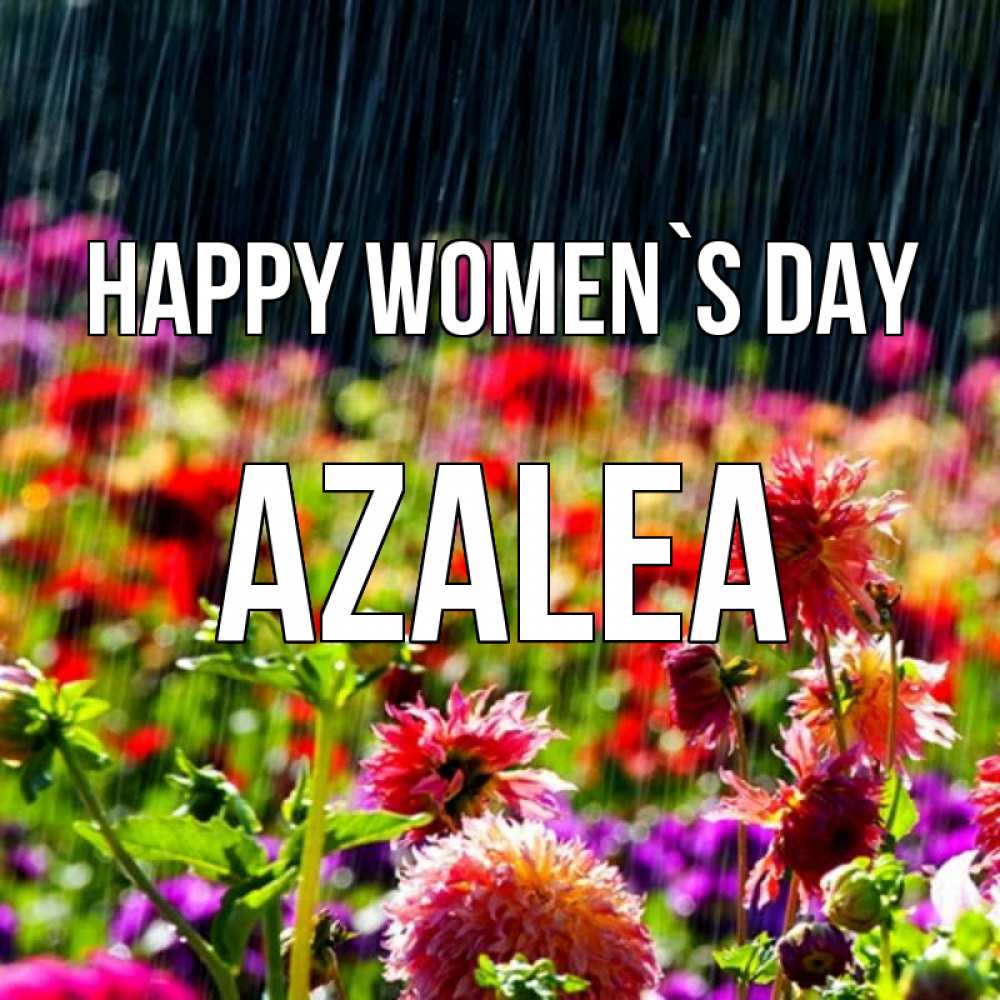 Greetings card с именем, Azalea happy women`s day цветы под дождиком к международному женскому дню Greetings with text for free download 
